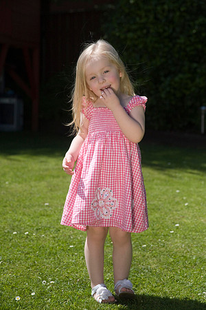 Family Party & portraits