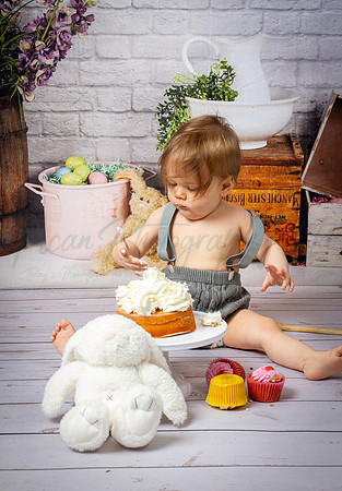 Alvey Cake Smash