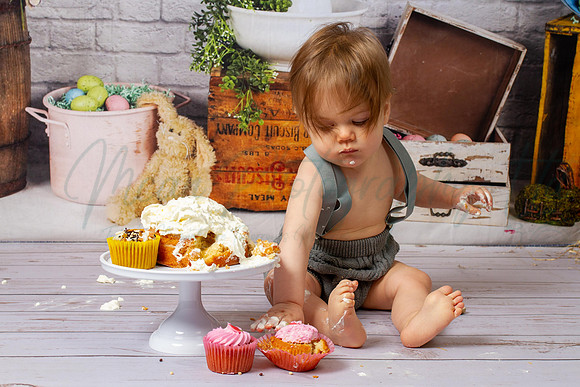 Alvey Cake Smash