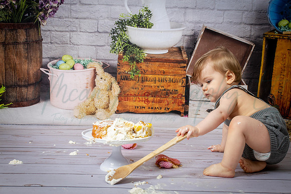 Alvey Cake Smash