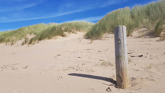 Formby Sand Dunes