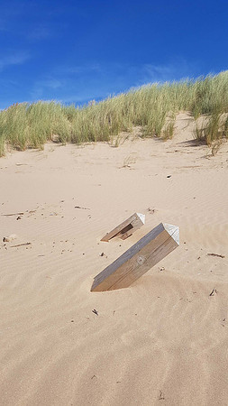 Formby Sand Dunes